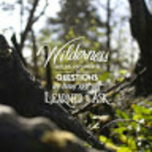 Meet your Posher, Kelley